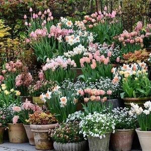 Meet your Posher, Renee